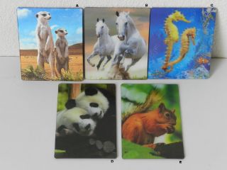 Obrázek z 3D magnet 65x82mm, 5dr (24) 